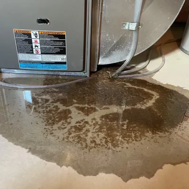 Appliance Leak Cleanup in Brookfield, MO